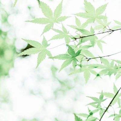 字节腾讯百度集体入局漫剧App，谁能成就下一个超级内容入口？